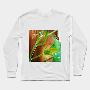 Pumpkin Blossom Long Sleeve T-Shirt